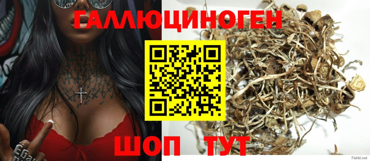 Галлюциногенные грибы прущие грибы Белово